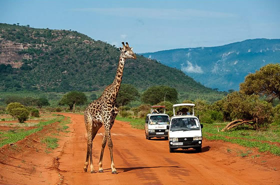 Tsavo East National Park
